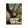 Schwarze Tapenade