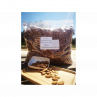 Amandes de Provence